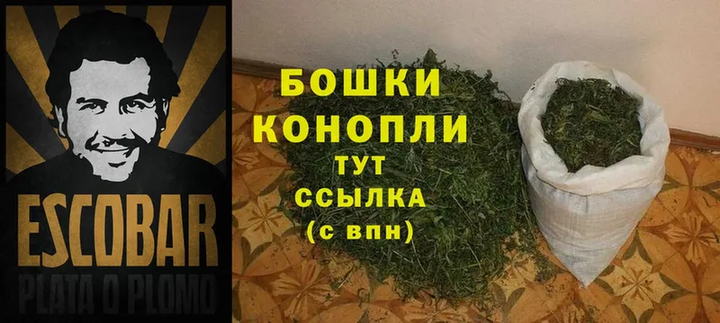 как найти наркотики  Гороховец  Канабис Ganja 